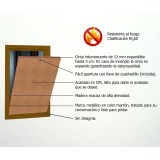 Puerta de registro MAYDISA EI260 2