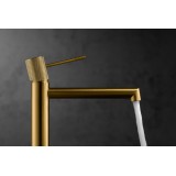 Monomando lavabo alto LINE oro cepillado - BDD038-3OC 3