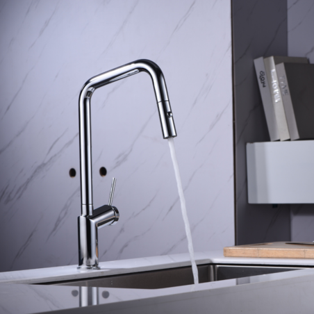 Monomando fregadero caño extraible BONN cromo - GCE024