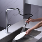 Monomando fregadero caño extraible BONN cromo - GCE024