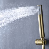 Monomando ducha MONZA oro cepillado - BDM039-5OC 4