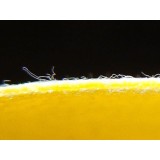 Lámina impermeabilización Revestech DRY50 duchas 4