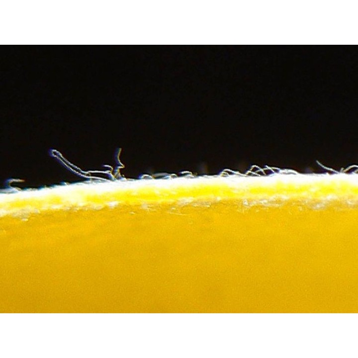 Lámina impermeabilización Revestech DRY50 duchas 4