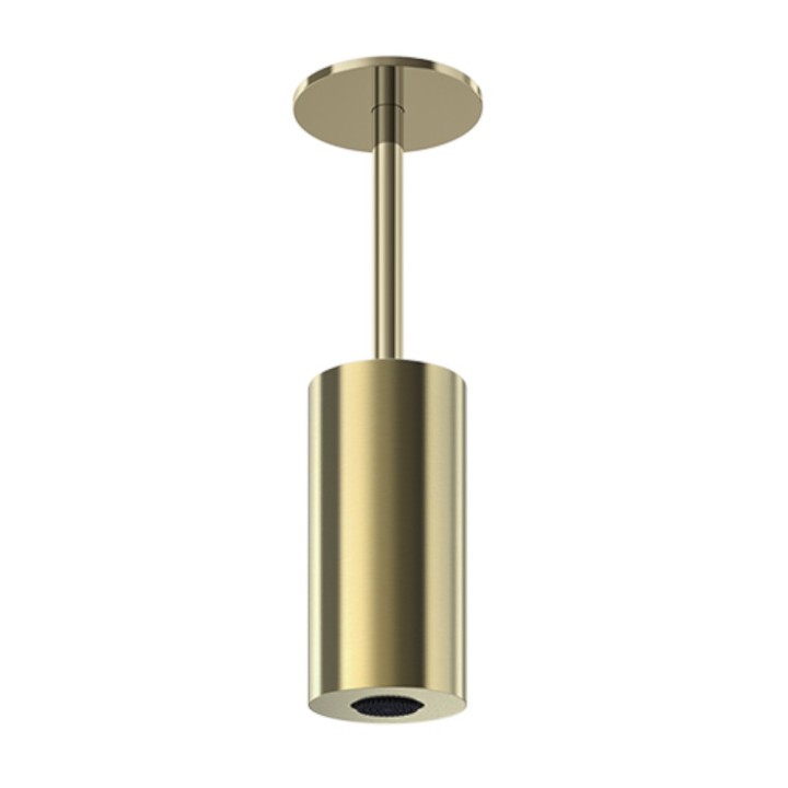 Conjunto rociador cilíndrico 100 mm Tríada oro cepillado - BV10RT100OC 1