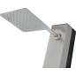 Columna ducha jardín piscina PHOENIX acero S316 - GPP015/AC