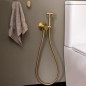 Monomando empotrado WC MAGNET oro cepillado - 336801WCOC