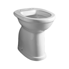 Inodoro 500mm con desagüe a suelo/pared D0200/01 - Mediclinics 1