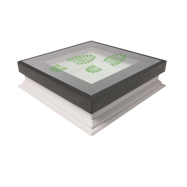 Ventana transitable FAKRO DXW 1